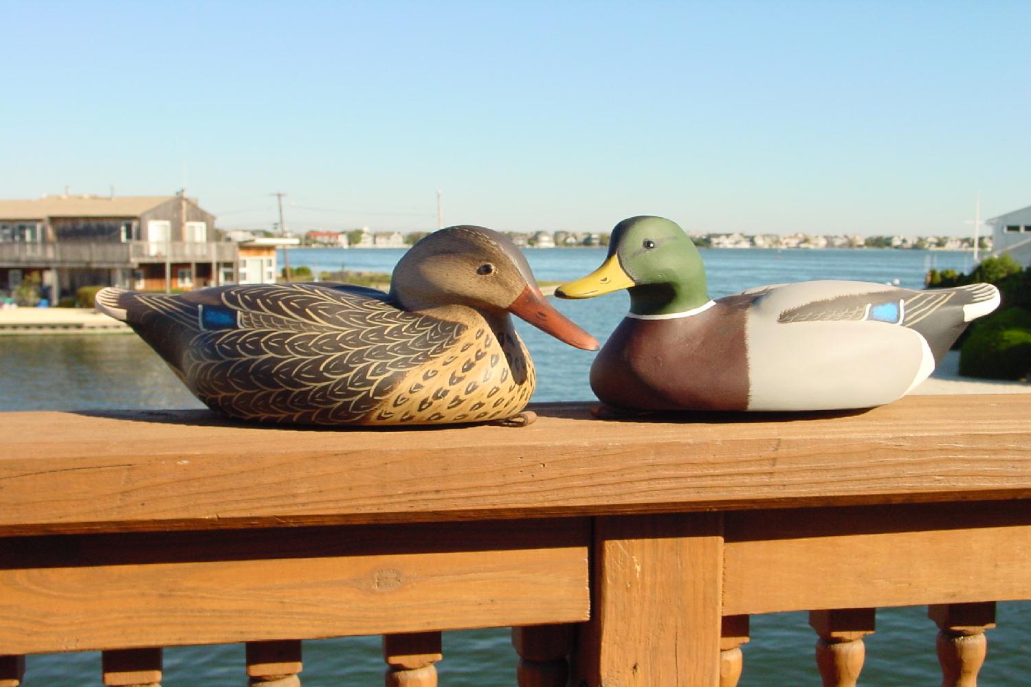 artmallards.jpg