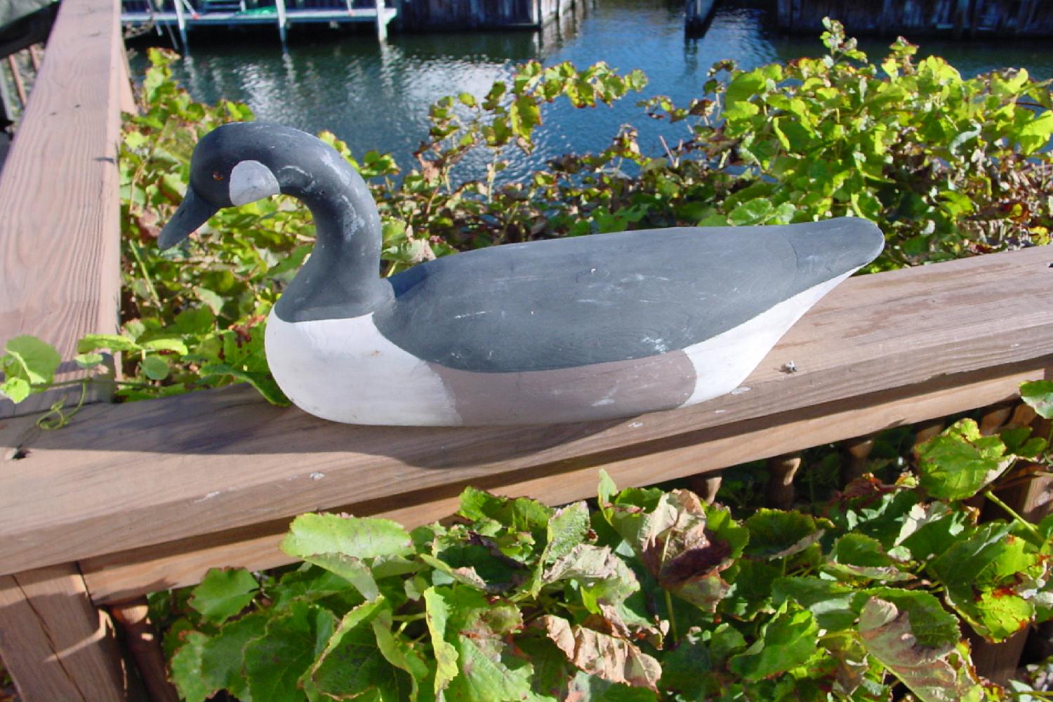 cwgoose.jpg