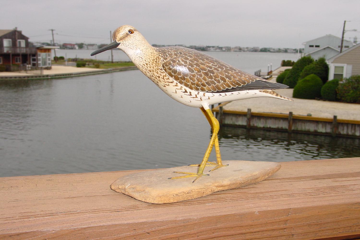 ljyellowlegs.jpg