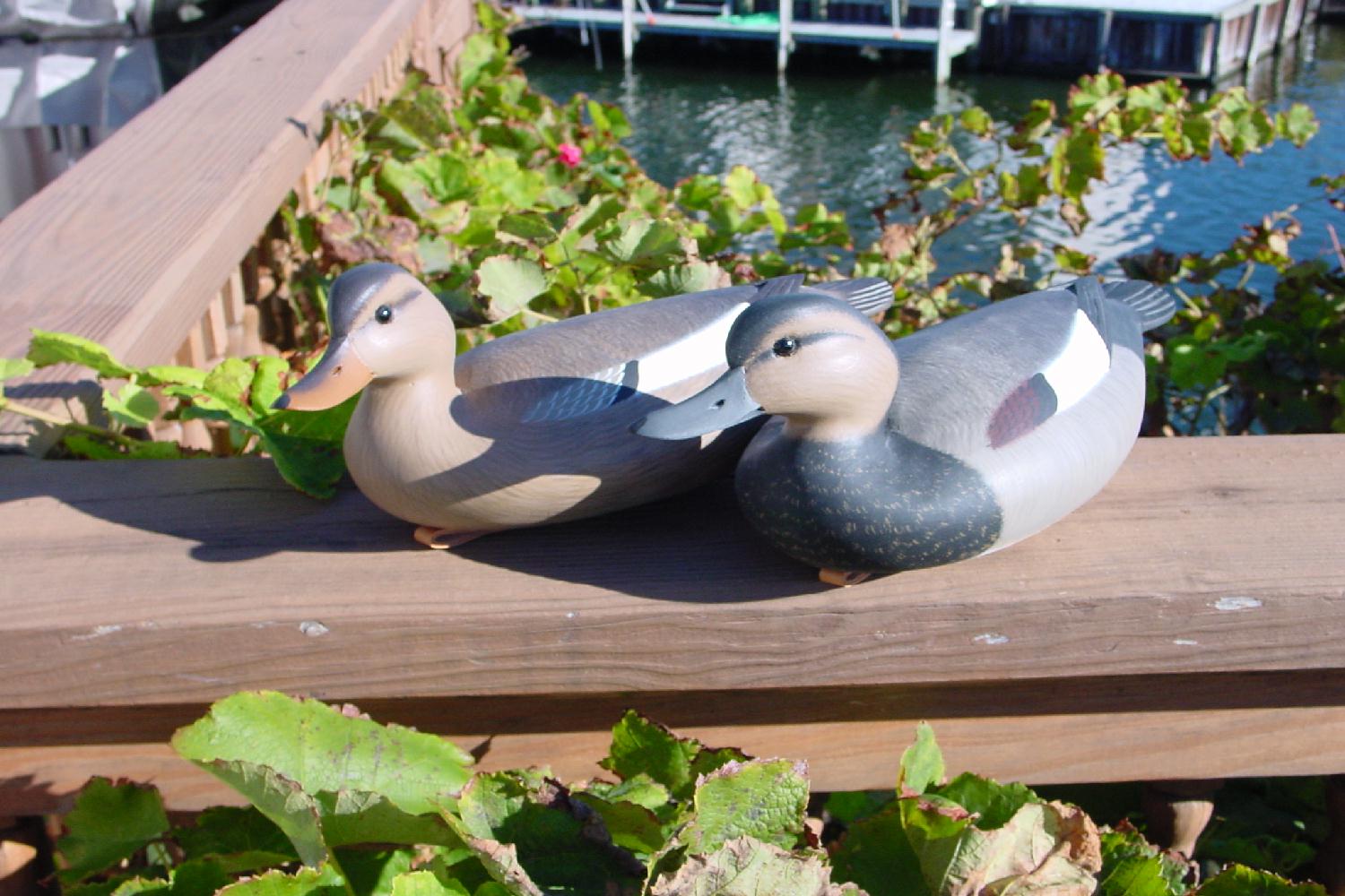 rbgadwall.jpg
