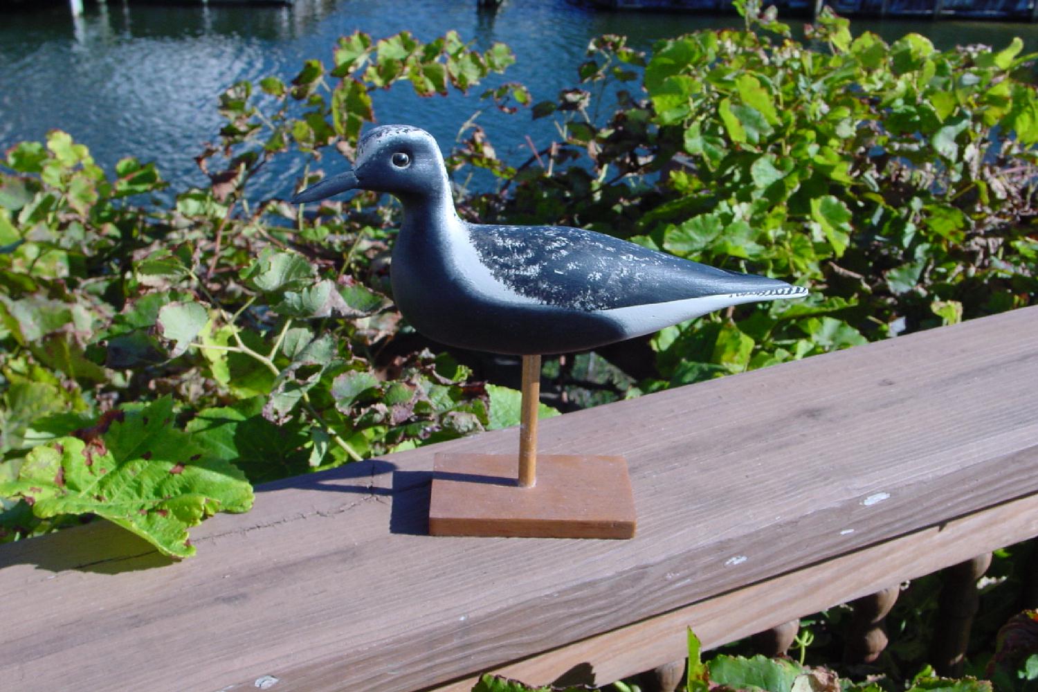 rickbshorebird.jpg